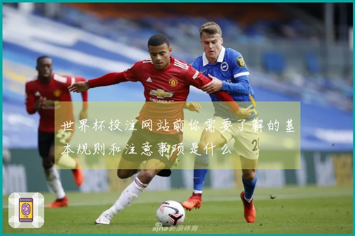 世界杯投注网站前你需要了解的基本规则和注意事项是什么