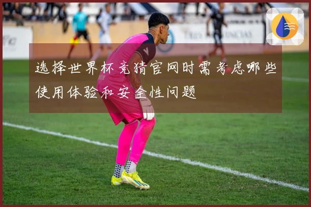 选择世界杯竞猜官网时需考虑哪些使用体验和安全性问题