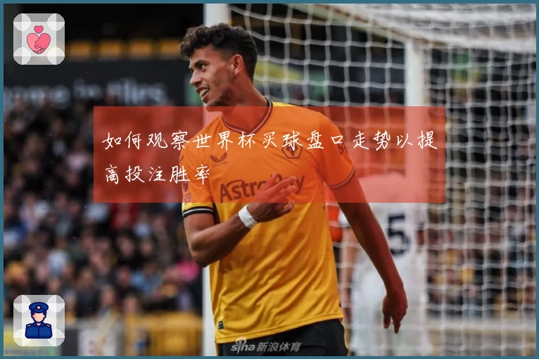 如何观察世界杯买球盘口走势以提高投注胜率